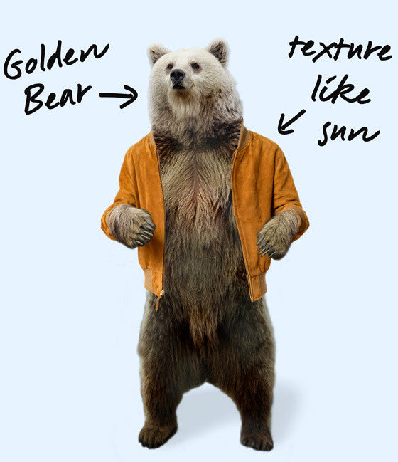 GOLDEN BEAR FOR OI POLLOI Fall 2013